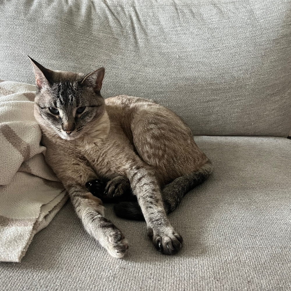 Meet your Posher, Jordan